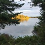 39024146_10155730668959562_6580997406328881152_n